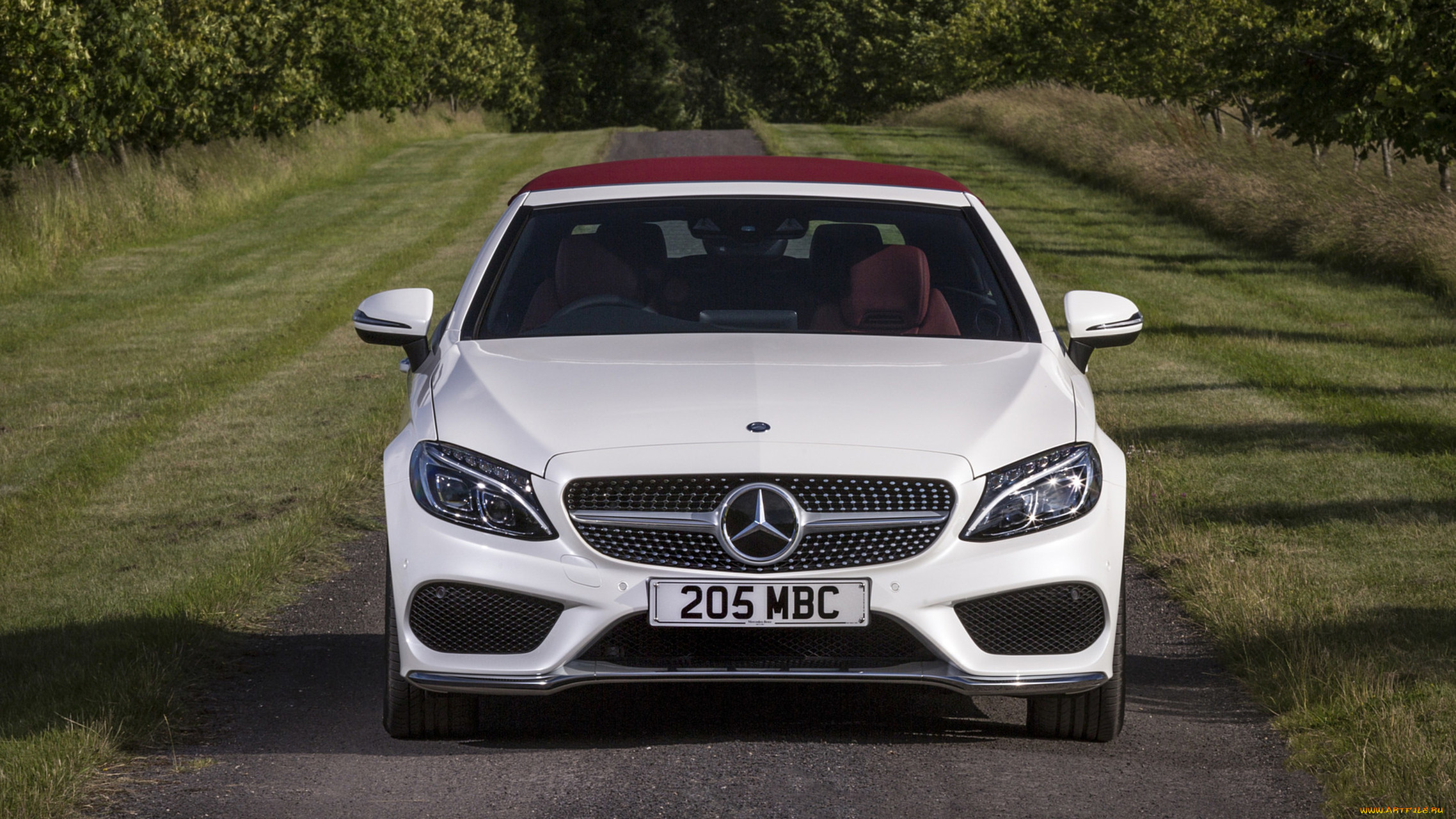 mercedes-benz c class c220 d-cabriolet 2017, , mercedes-benz, 2017, d-cabriolet, c220, class, c